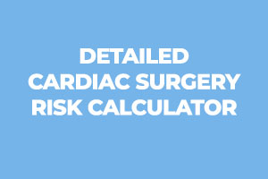 Detailed-Rick-Calculator